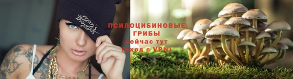ALPHA PVP Беломорск