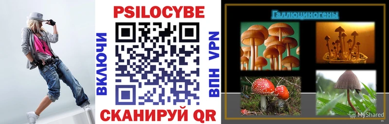 купить наркотик  Вельск  Галлюциногенные грибы MAGIC MUSHROOMS 