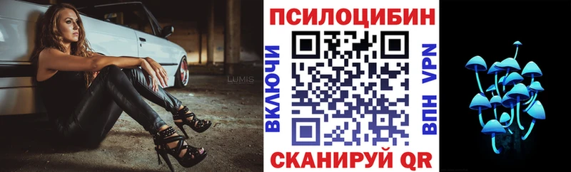 Псилоцибиновые грибы GOLDEN TEACHER Вельск