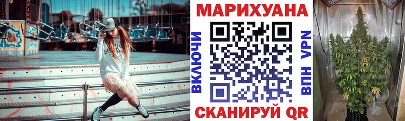 наркотики  Вельск  Марихуана семена 
